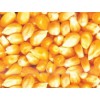襄陽傲農現代農業求購玉米碎米高粱油糠麩皮等飼料原料