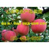 山東沂蒙山紅富士蘋果產(chǎn)地批發(fā)價(jià)格