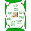 百可稱心的伊莎吸油湯，值得您的信賴|伊莎牌伊莎茶供應商