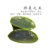 江蘇美容蘆薈|價格合理的庫拉索蘆薈鮮葉片批發莆田哪里有