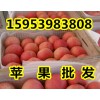 供應(yīng)紅富士蘋果今日價(jià)格