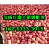 182-6333-3915山東蘋果產(chǎn)地山東紅富士蘋果價格