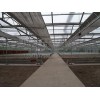 連棟溫室建造費用——連棟溫室工程建設(shè)