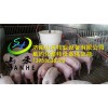 歷下養(yǎng)豬設備，在哪容易買到好的養(yǎng)豬料線