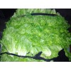 萬江蔬菜配送，東莞迅捷的蔬菜配送推薦