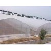 PO膜生產 山東優質PO大棚膜供應