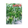 知名的太空九號甜椒種子供應商，高質量太空九號甜椒種子