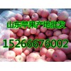 現(xiàn)在山東紅富士蘋(píng)果批發(fā)多少錢一斤