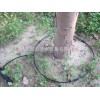 山西忻州五寨縣果樹小管出流|紅棗果園滴灌管20PE管