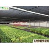 大棚遮陽系統維護與使用，建大棚找芳誠18988967562