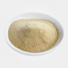 廠家供應(yīng)產(chǎn)朊假絲酵母200億促消化飼料添加劑哪家好，現(xiàn)貨直銷