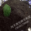 羊糞價(jià)格 河北優(yōu)質(zhì)羊糞批發(fā) 羊糞有機(jī)肥 果蔬通用肥