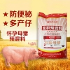 寶積懷孕母豬預(yù)混料中草藥飼料補血氣奶水好