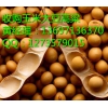 今日玉米價(jià)格行情走勢 哪里收購玉米壟上養(yǎng)殖廠收購玉米大豆高粱