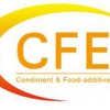 2018中國(guó)（CFE）調(diào)味品及食品配料博覽會(huì)