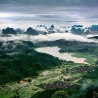 廣西展團(tuán)將亮相2020廣州國(guó)際漁博會(huì)