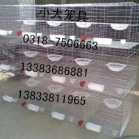 生產(chǎn)鴿籠 兔籠 雞籠 運輸籠 寵物籠 鵪鶉籠 狐貍籠 鷓鴣籠