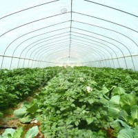 大棚報價各種大棚定做電話