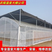 圓拱型連棟薄膜溫室大棚 連棟蔬菜種植大棚
