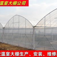 連體塑料溫室大棚 832型連棟大棚 育苗溫室大棚