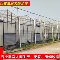 文洛型玻璃溫室大棚 智能溫室大棚