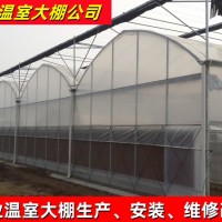 上海連棟育秧溫室大棚 種植溫室養殖大棚安裝